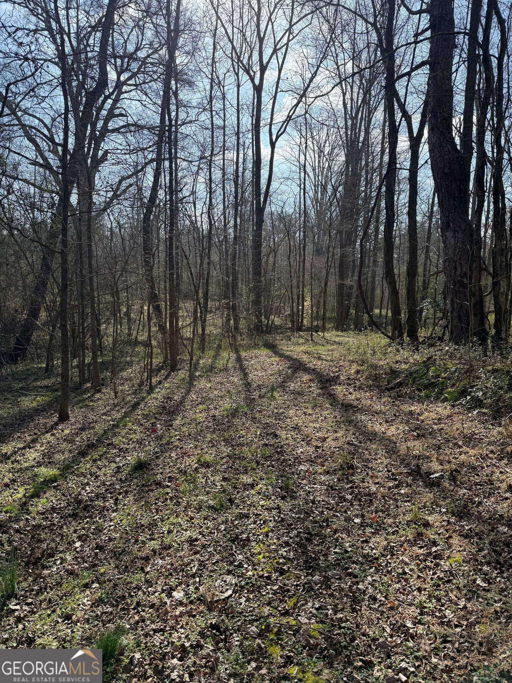 residential lot for sale at 0 Saffold Road, Buckhead, GA 30625 — photo 6