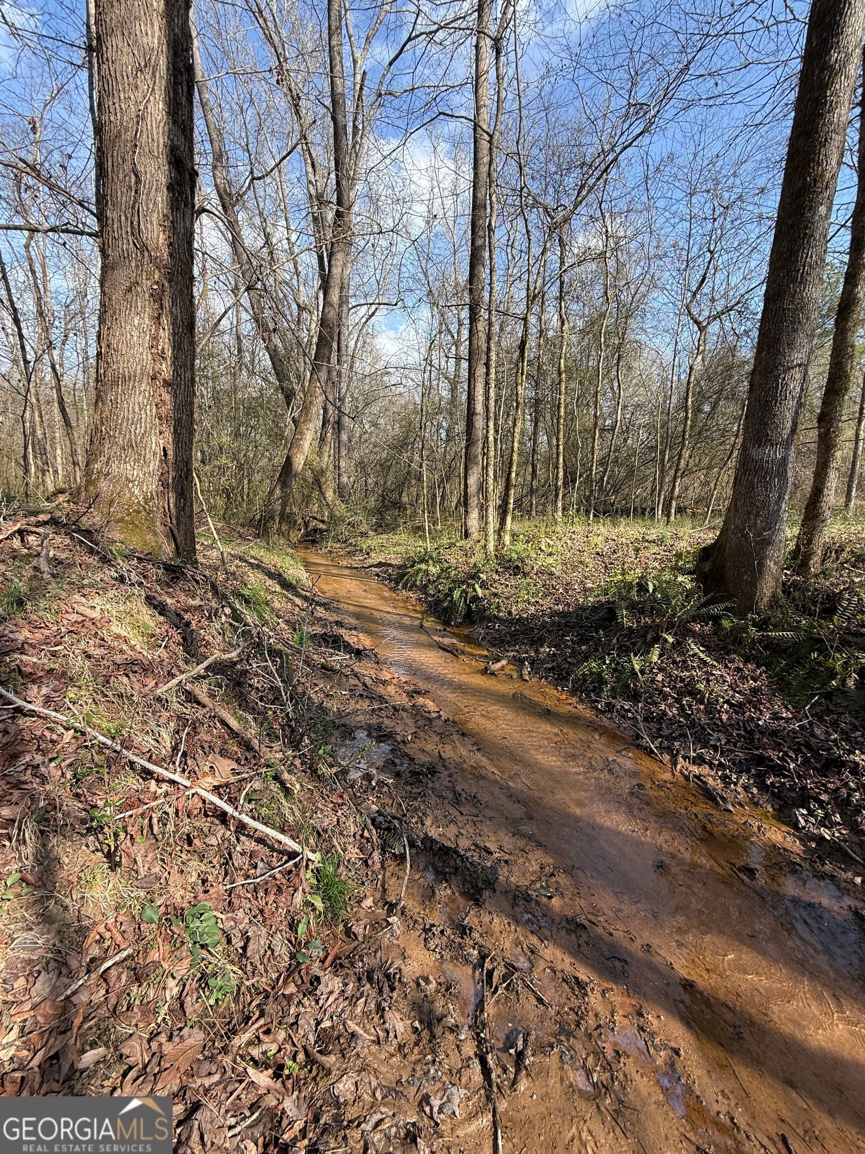residential lot for sale at 0 Saffold Road, Buckhead, GA 30625 — photo 7