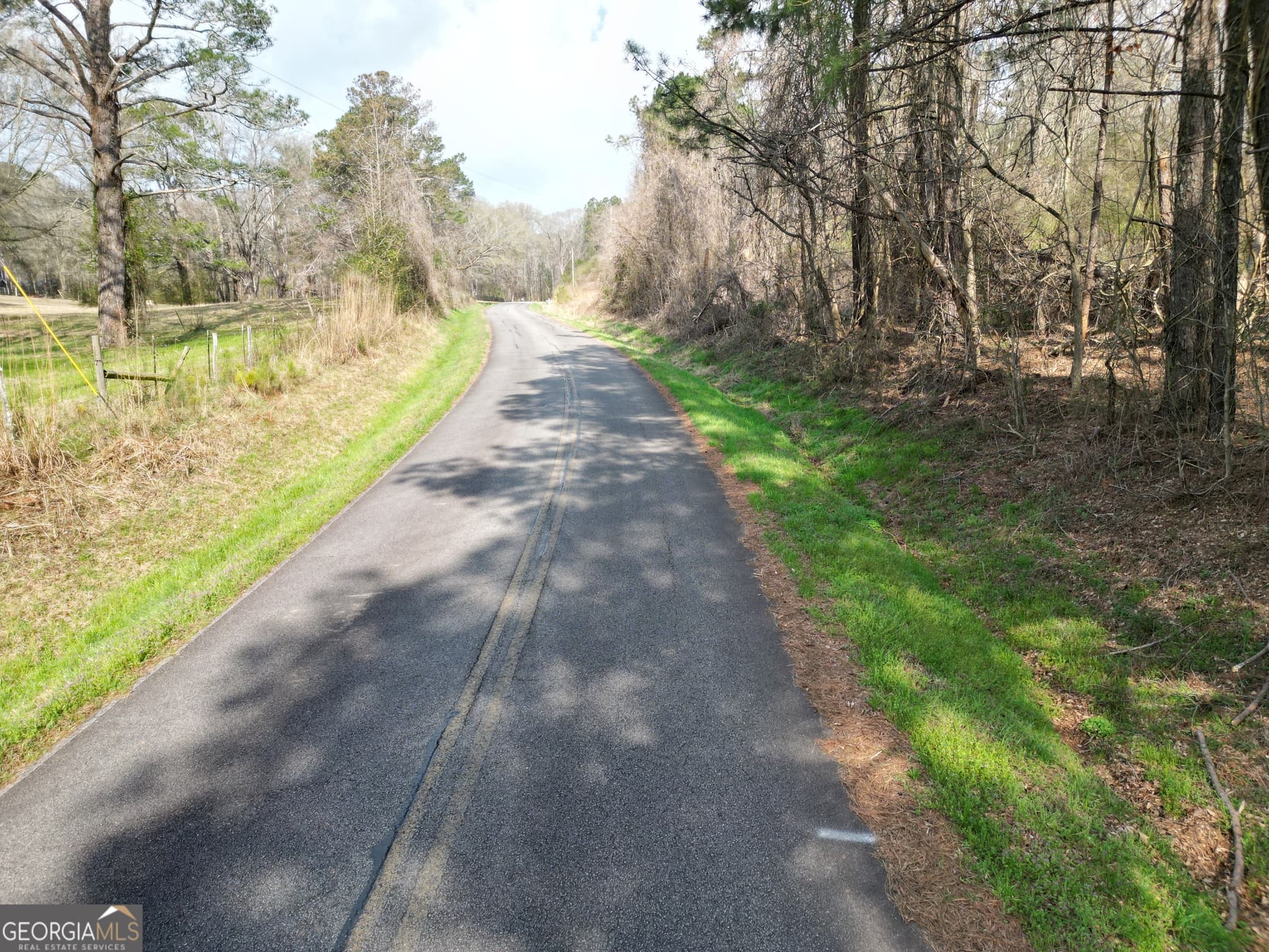 residential lot for sale at 0 Saffold Road, Buckhead, GA 30625 — photo 3