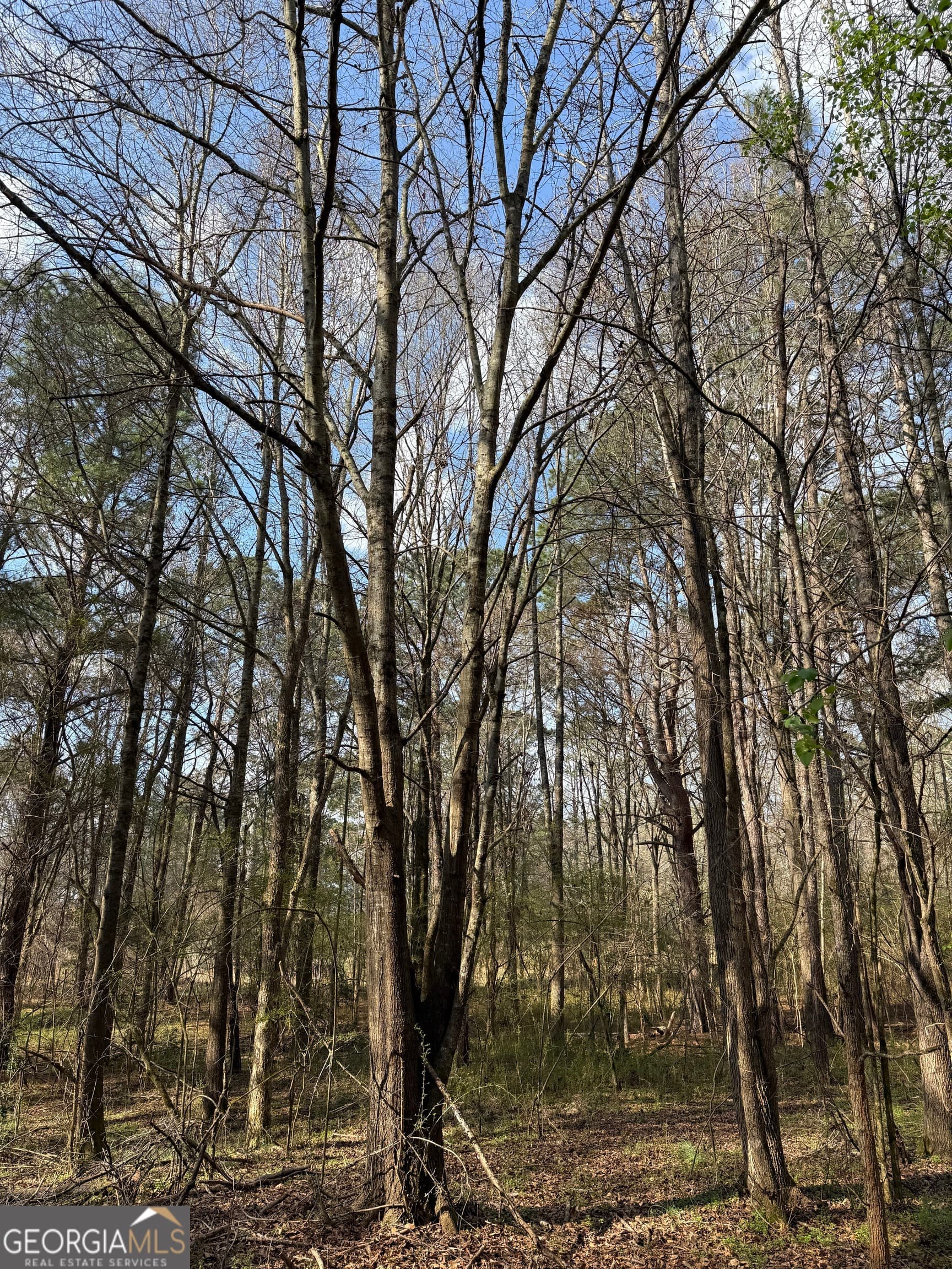 residential lot for sale at 0 Saffold Road, Buckhead, GA 30625 — photo 5