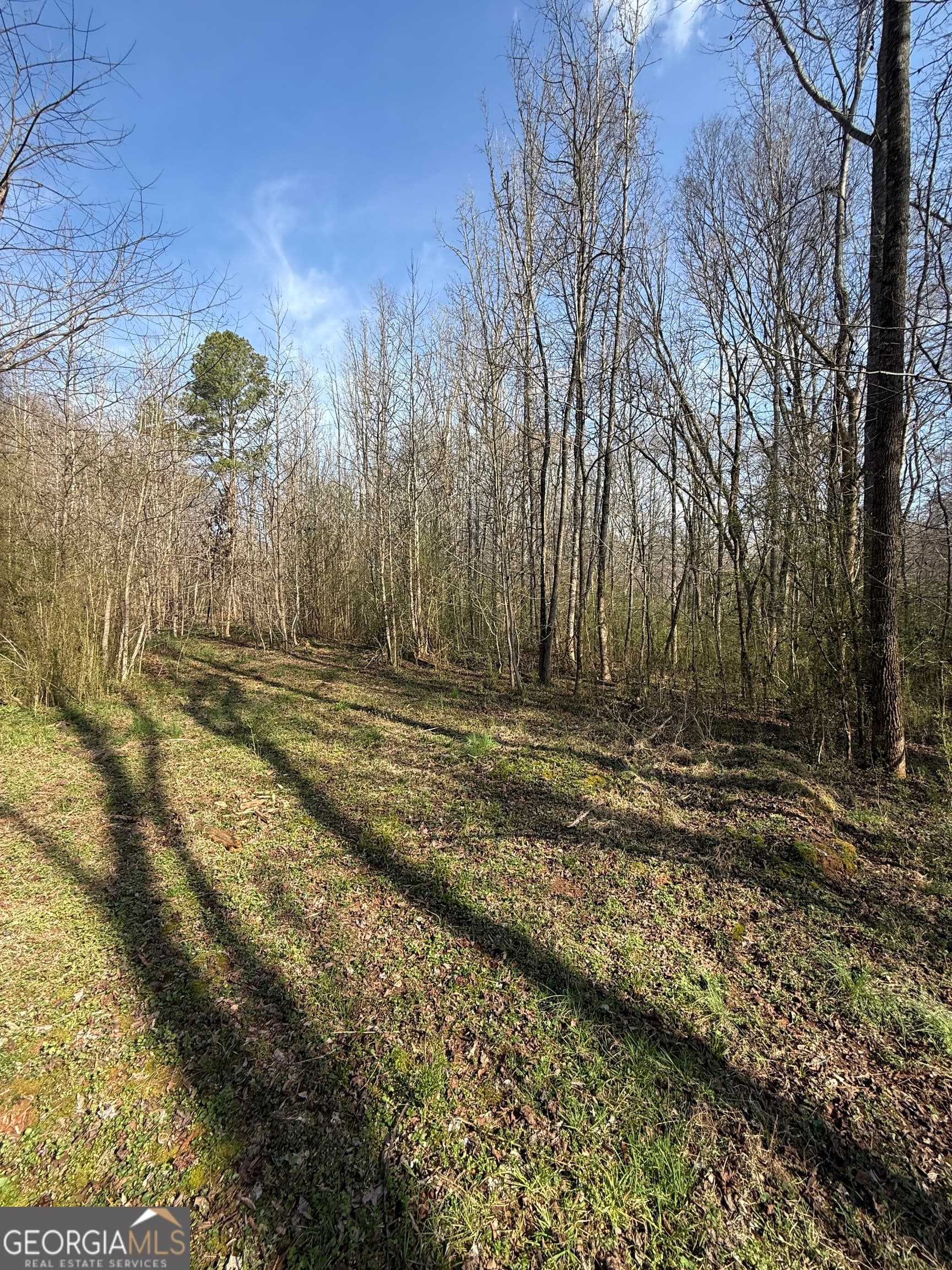 residential lot for sale at 0 Saffold Road, Buckhead, GA 30625 — photo 9
