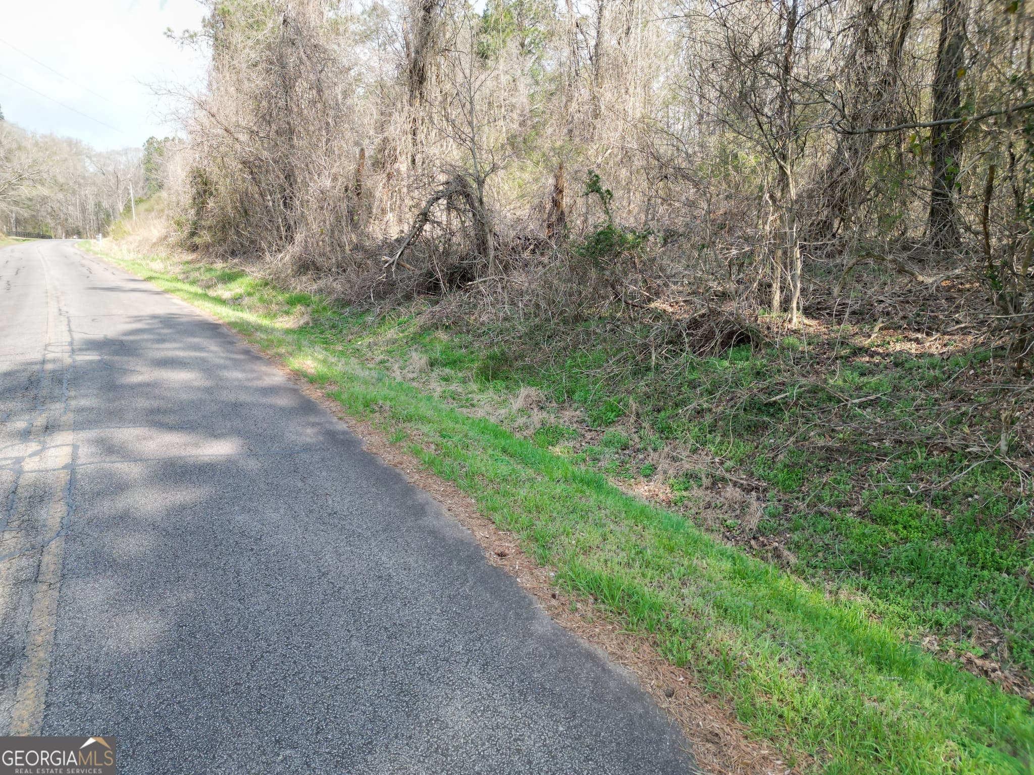 residential lot for sale at 0 Saffold Road, Buckhead, GA 30625 — photo 4