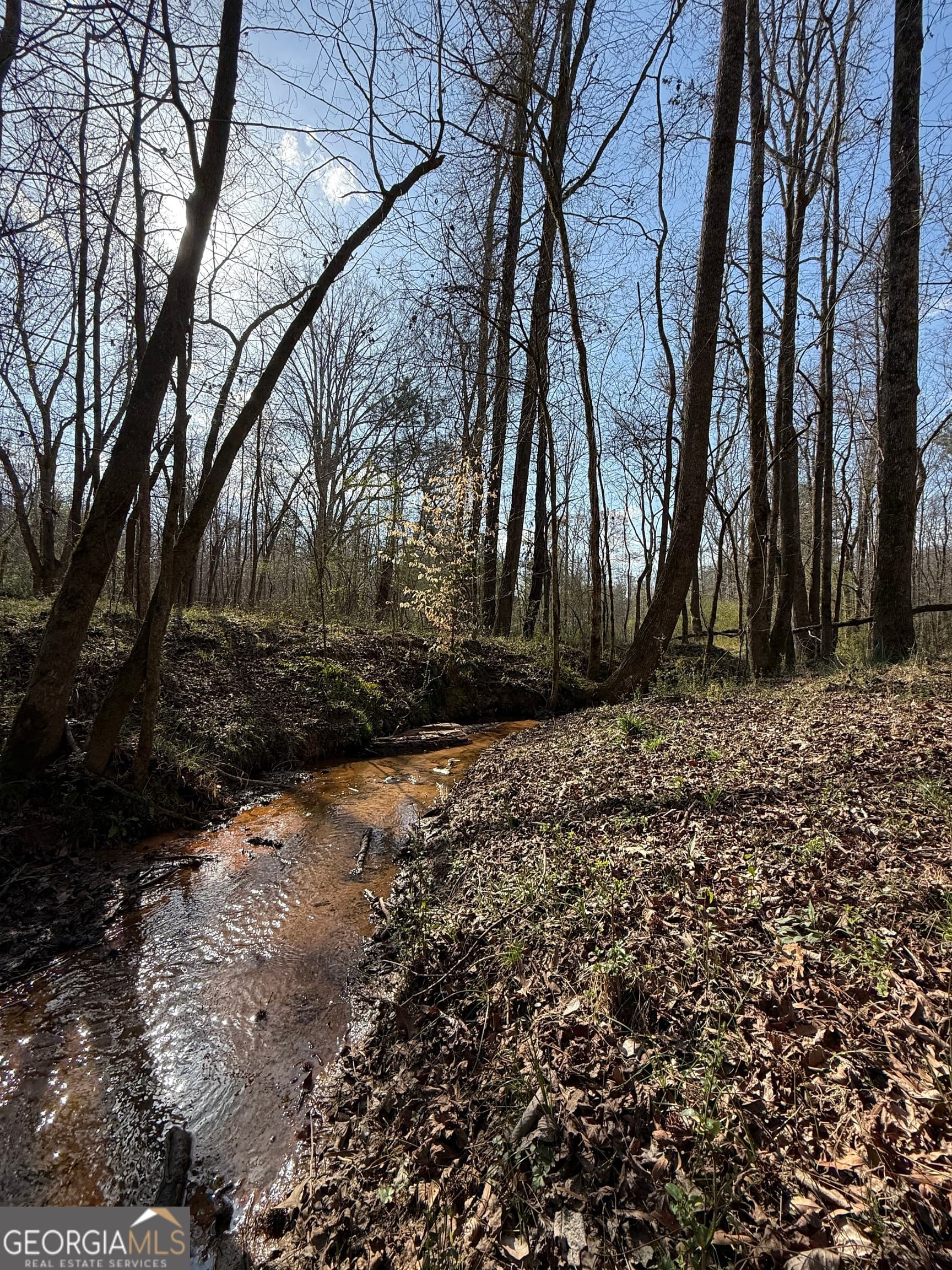 residential lot for sale at 0 Saffold Road, Buckhead, GA 30625 — photo 8