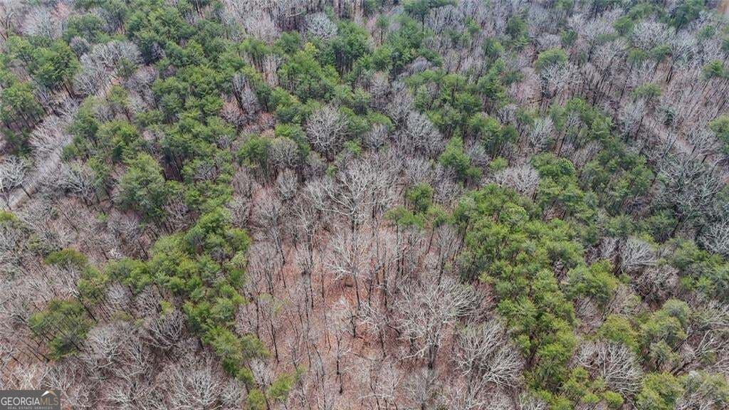 residential lot for sale at 0 Fern Creek Court, Jasper, GA 30143 — photo 7