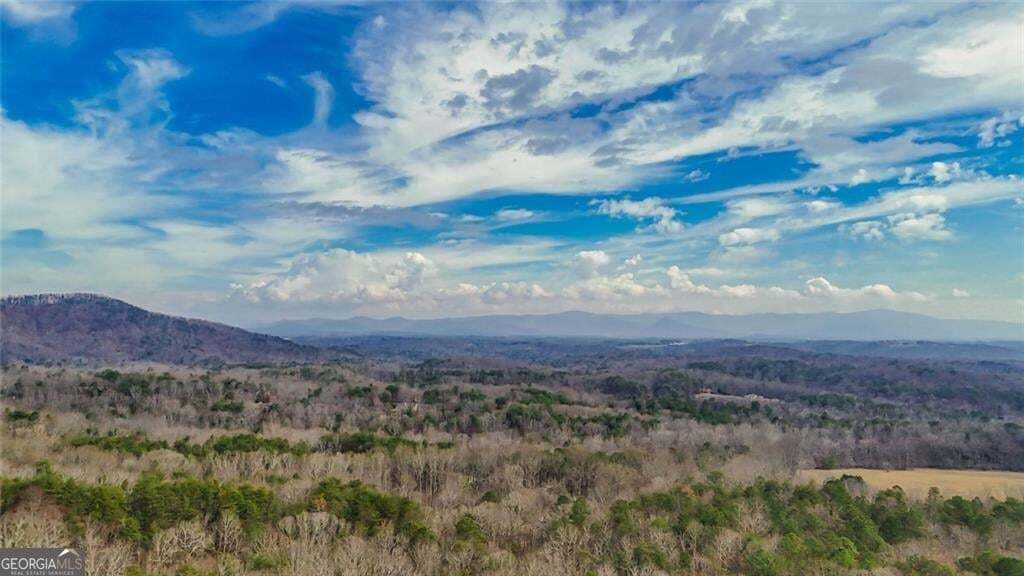 residential lot for sale at 0 Fern Creek Court, Jasper, GA 30143 — photo 3