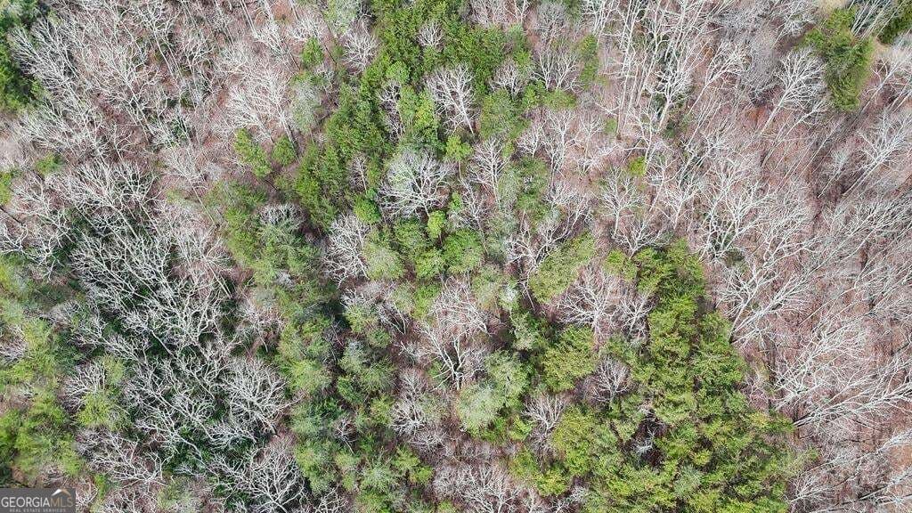 residential lot for sale at 0 Fern Creek Court, Jasper, GA 30143 — photo 5