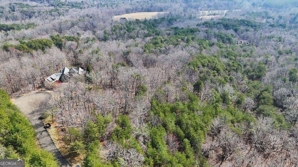 residential lot for sale at 0 Fern Creek Court, Jasper, GA 30143 — photo 4