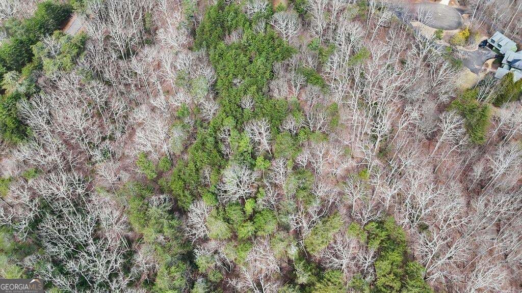 residential lot for sale at 0 Fern Creek Court, Jasper, GA 30143 — photo 8