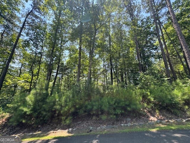 residential lot for sale at 0 Carters View, Ellijay, GA 30540 — photo 2
