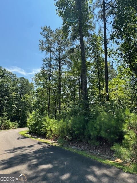residential lot for sale at 0 Carters View, Ellijay, GA 30540 — photo 3