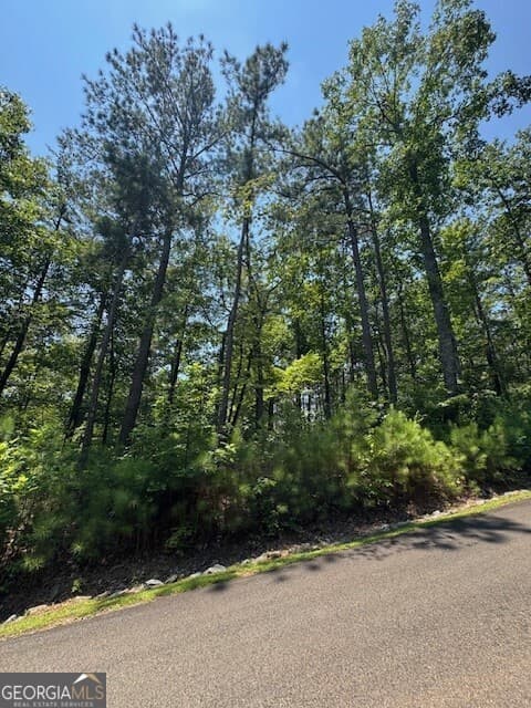 residential lot for sale at 0 Carters View, Ellijay, GA 30540 — photo 1 of 4