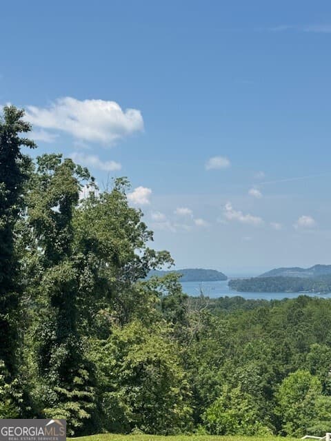residential lot for sale at 0 Carters View, Ellijay, GA 30540 — photo 4