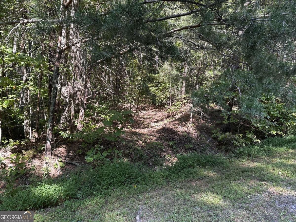 unimproved land for sale at 50 St Andrews Way, Ellijay, GA 30536 — photo 7