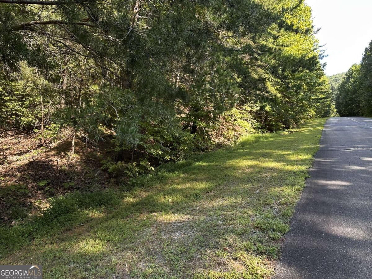 unimproved land for sale at 50 St Andrews Way, Ellijay, GA 30536 — photo 1 of 19