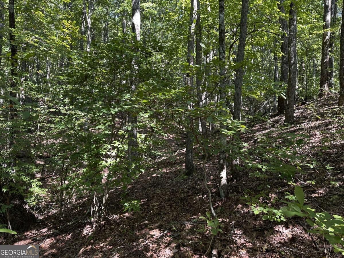 unimproved land for sale at 50 St Andrews Way, Ellijay, GA 30536 — photo 9
