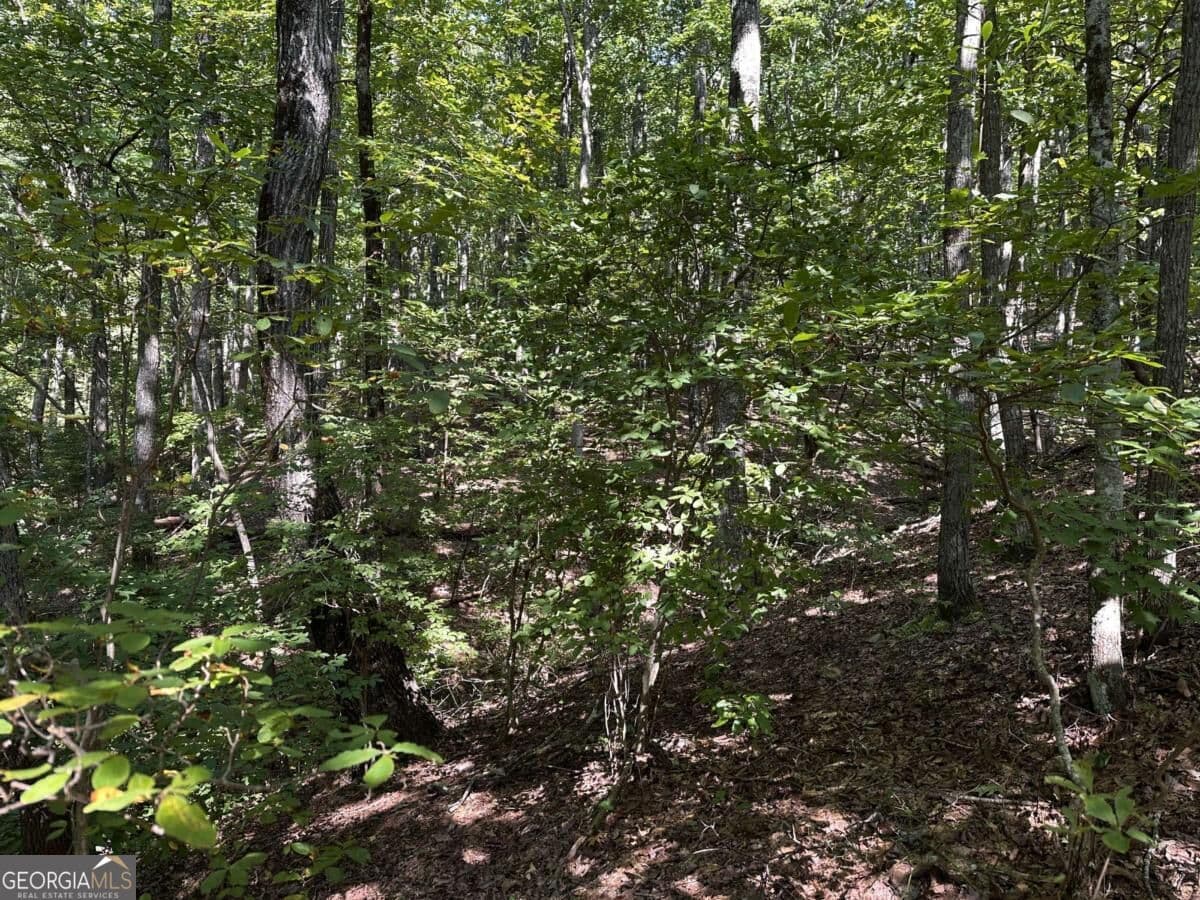 unimproved land for sale at 50 St Andrews Way, Ellijay, GA 30536 — photo 10