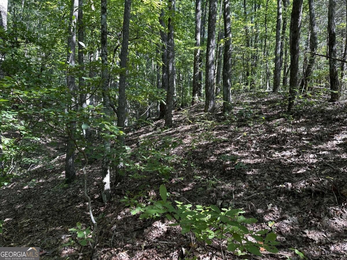 unimproved land for sale at 50 St Andrews Way, Ellijay, GA 30536 — photo 8