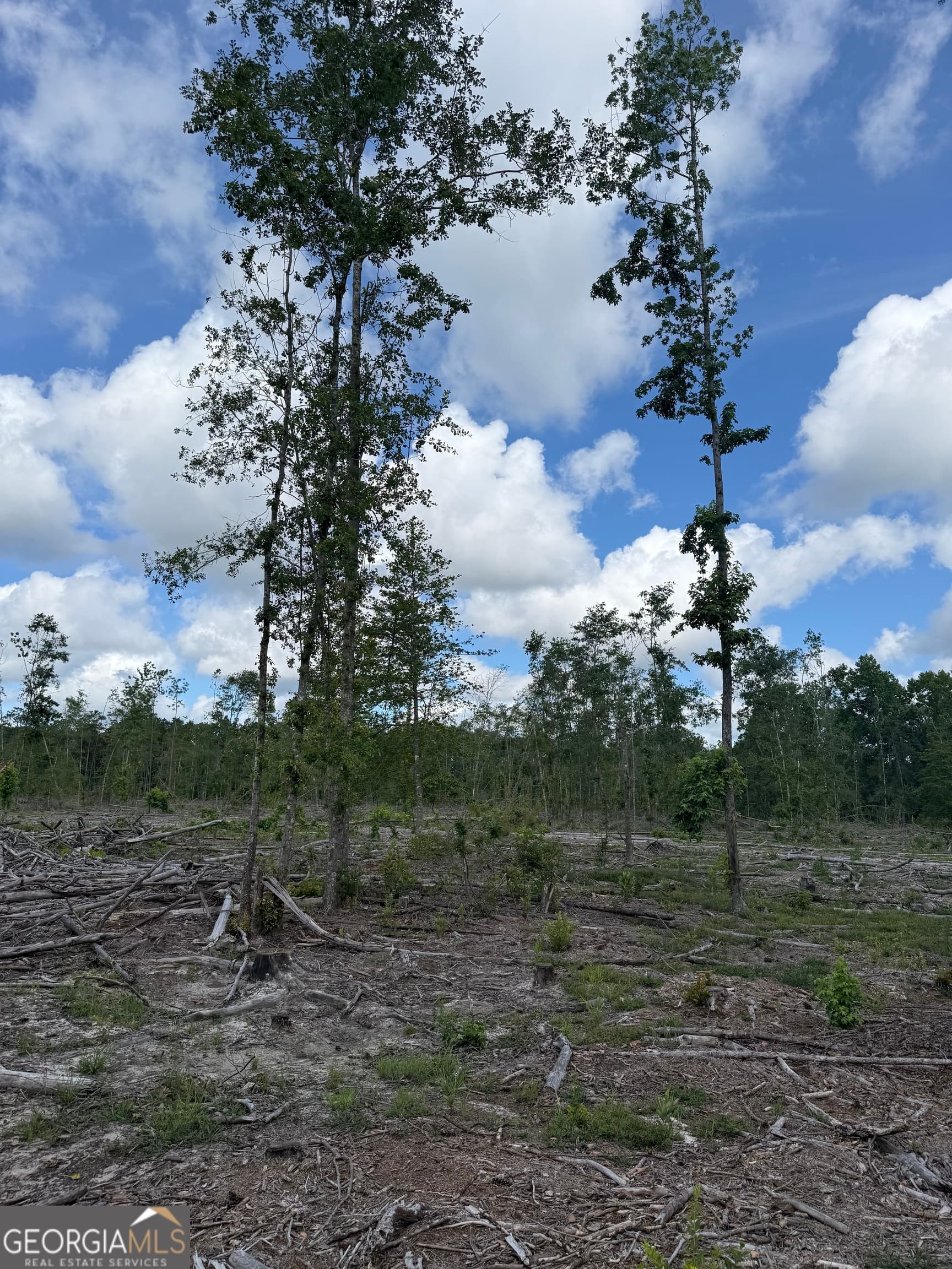 unimproved land for sale at 0 Mt Hope Road, Guyton, GA 31312 — photo 2