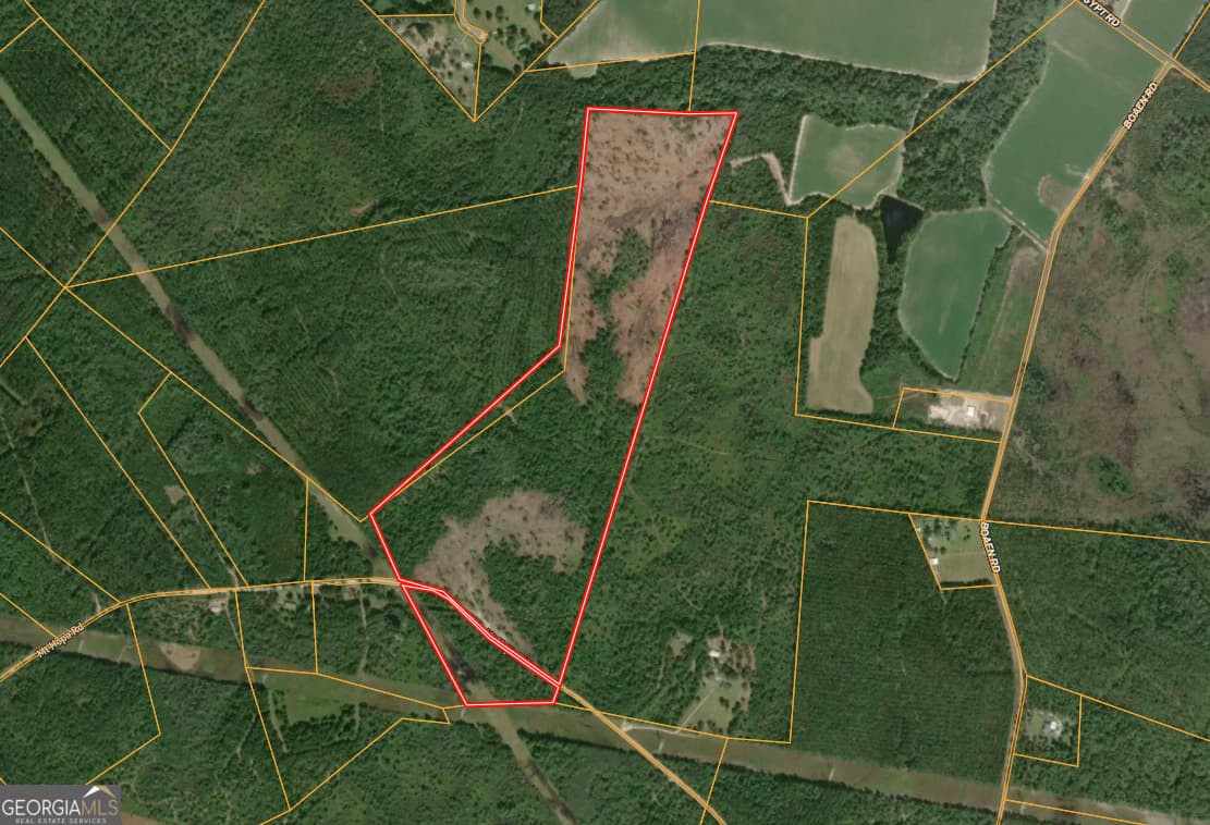 unimproved land for sale at 0 Mt Hope Road, Guyton, GA 31312 — photo 6