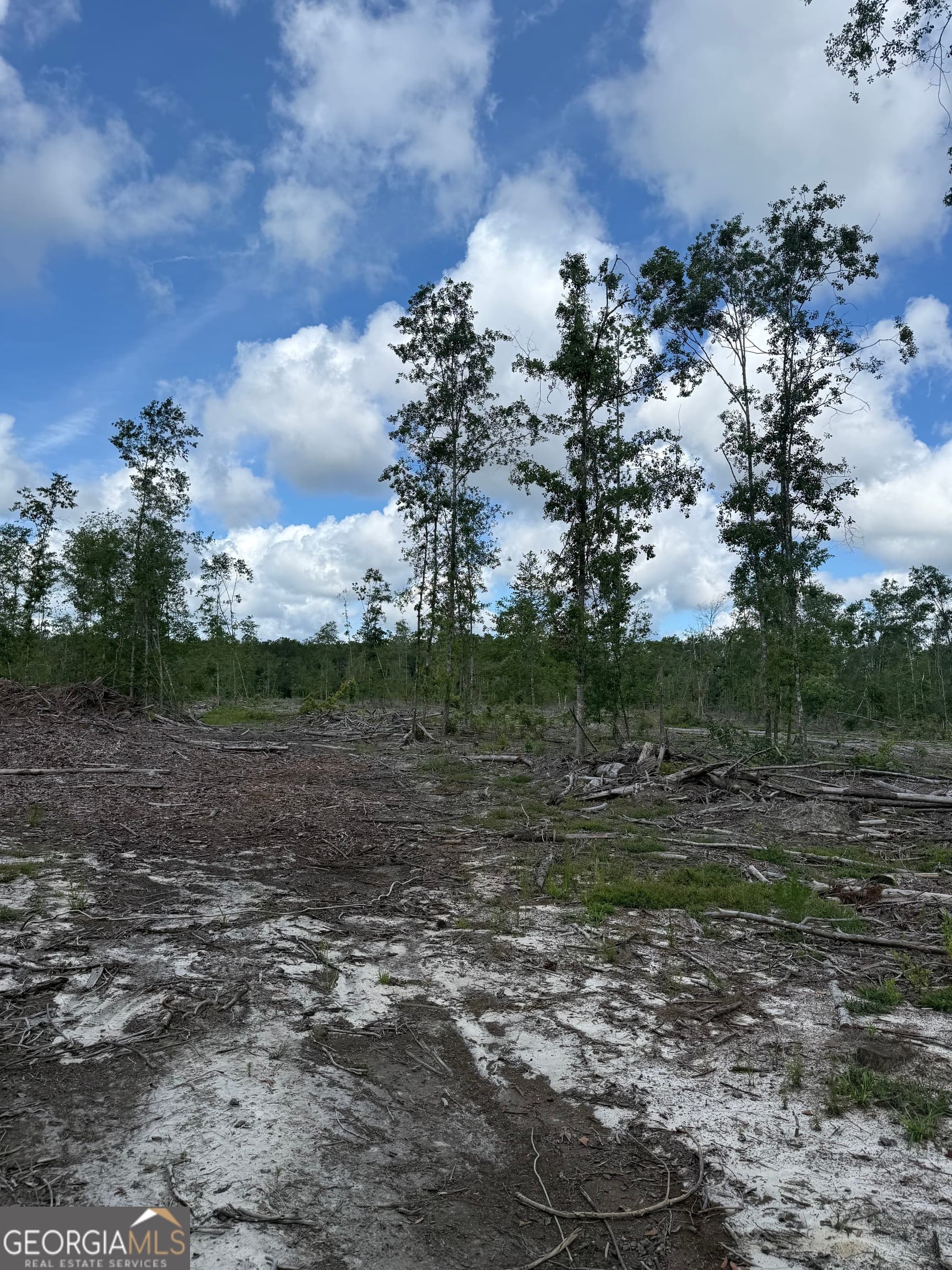 unimproved land for sale at 0 Mt Hope Road, Guyton, GA 31312 — photo 3