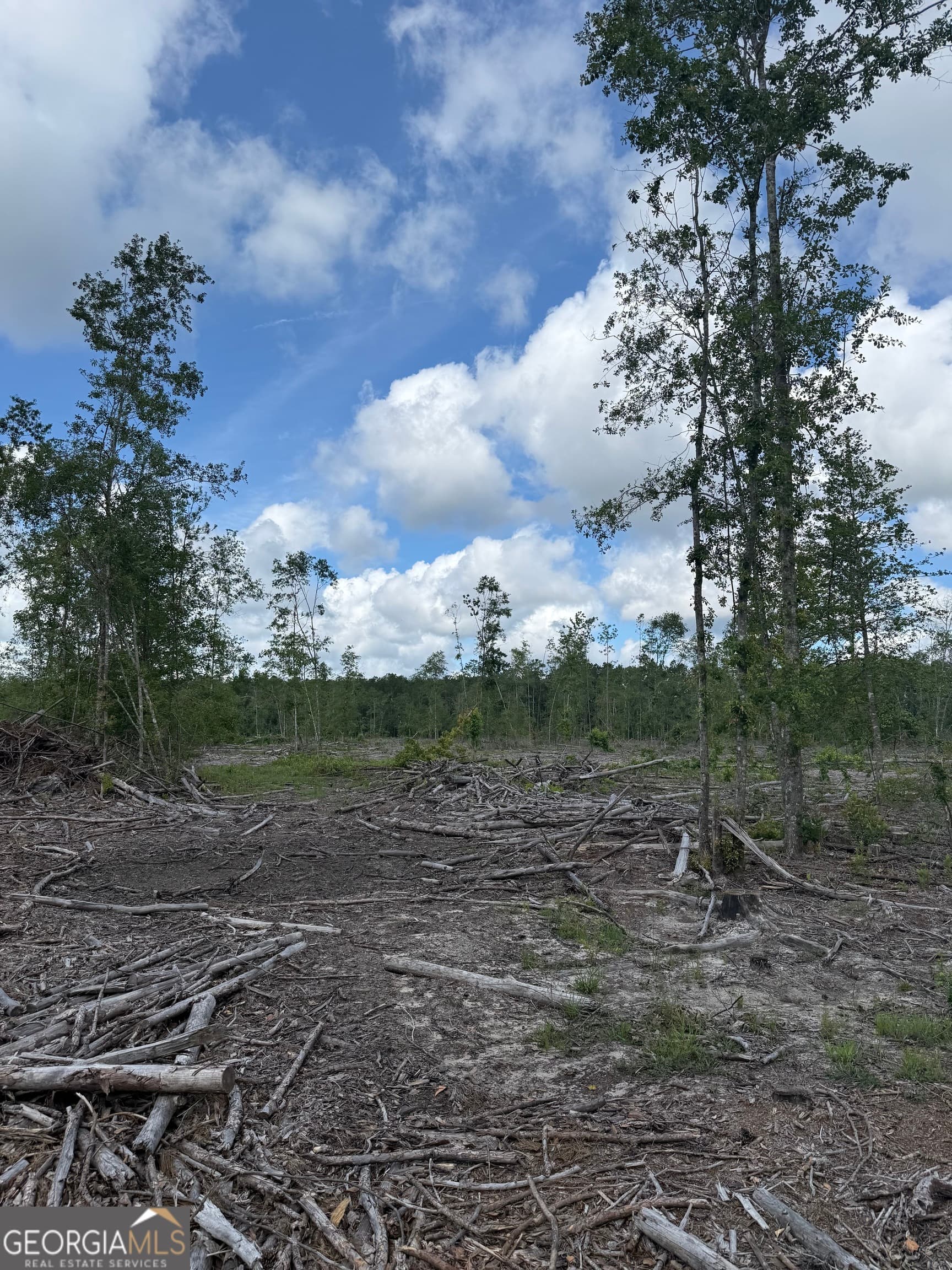 unimproved land for sale at 0 Mt Hope Road, Guyton, GA 31312 — photo 1 of 6