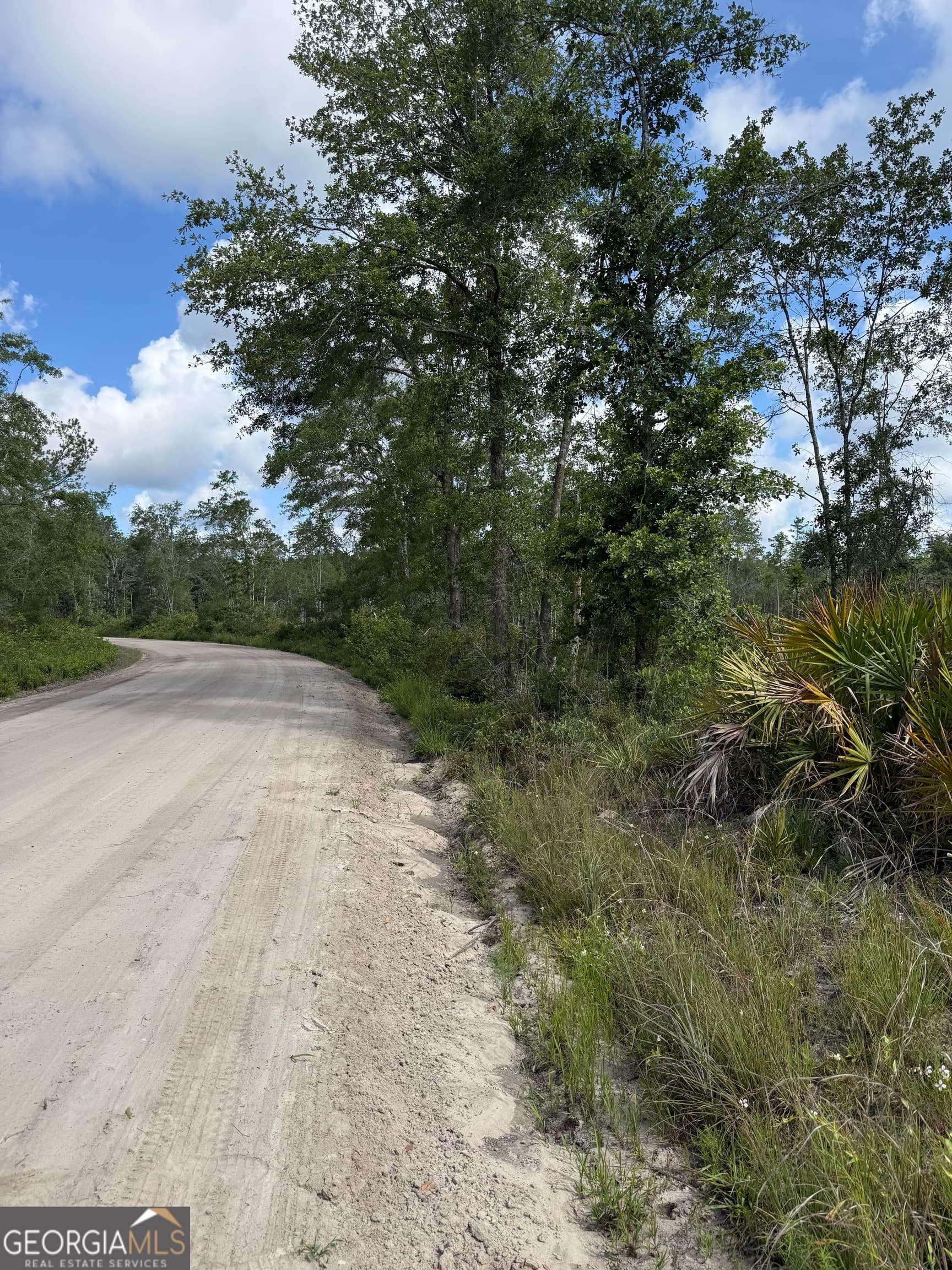 unimproved land for sale at 0 Mt Hope Road, Guyton, GA 31312 — photo 5