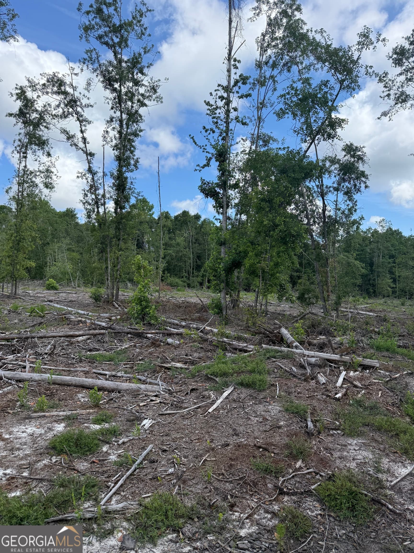 unimproved land for sale at 0 Mt Hope Road, Guyton, GA 31312 — photo 4