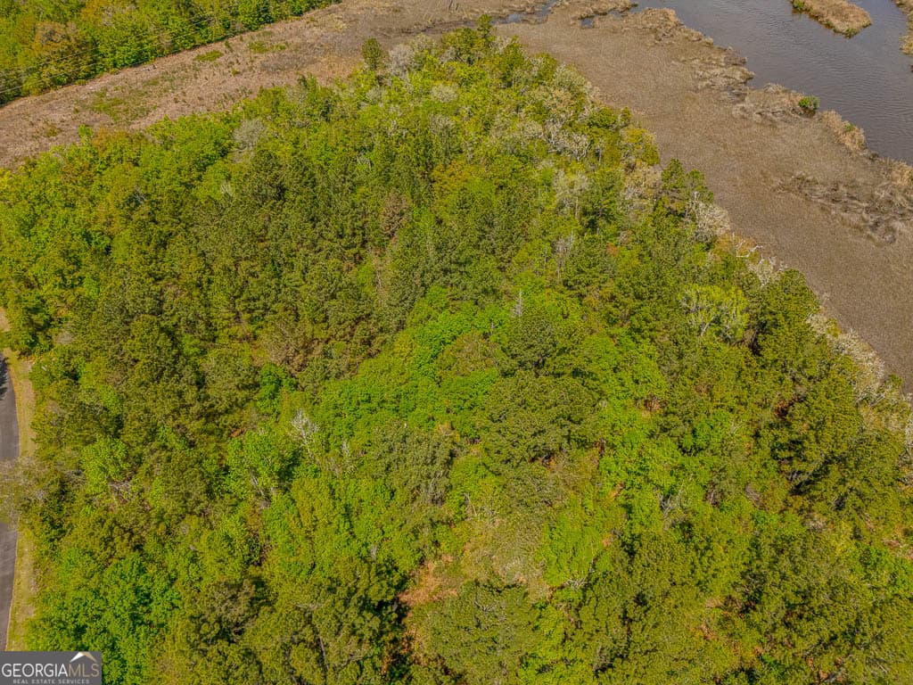 unimproved land for sale at LOT 45 Matthews Launch, White Oak, GA 31568 — photo 2