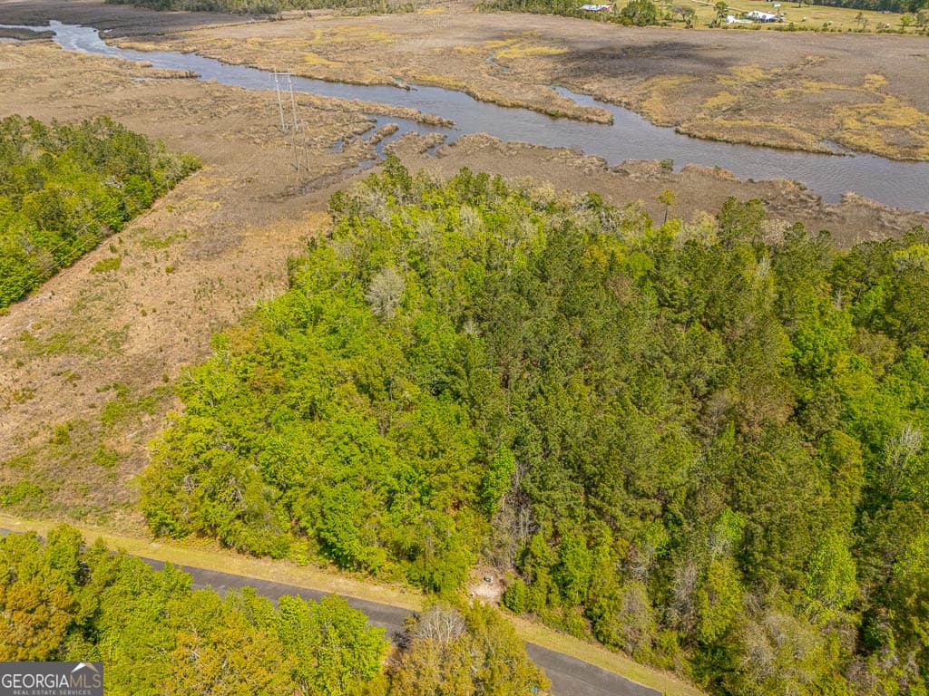 unimproved land for sale at LOT 45 Matthews Launch, White Oak, GA 31568 — photo 7