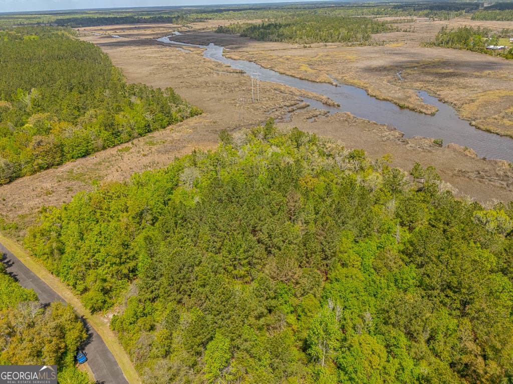 unimproved land for sale at LOT 45 Matthews Launch, White Oak, GA 31568 — photo 3
