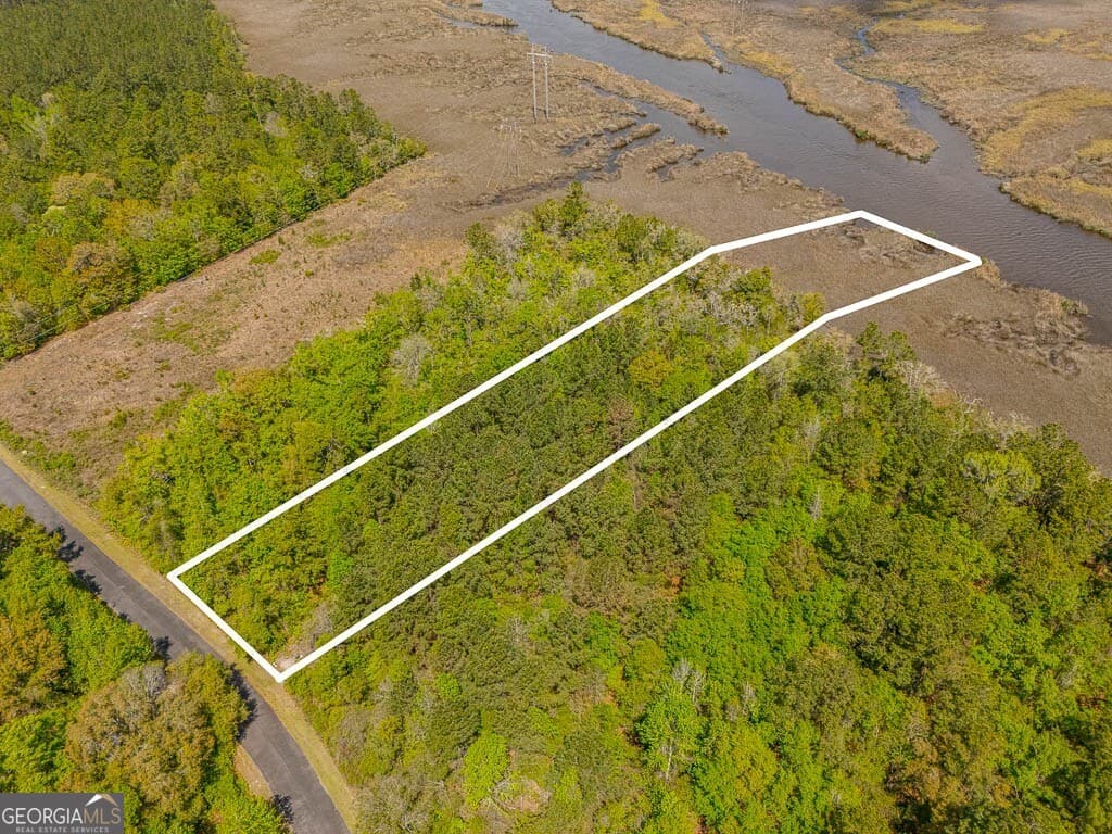unimproved land for sale at LOT 45 Matthews Launch, White Oak, GA 31568 — photo 1 of 19