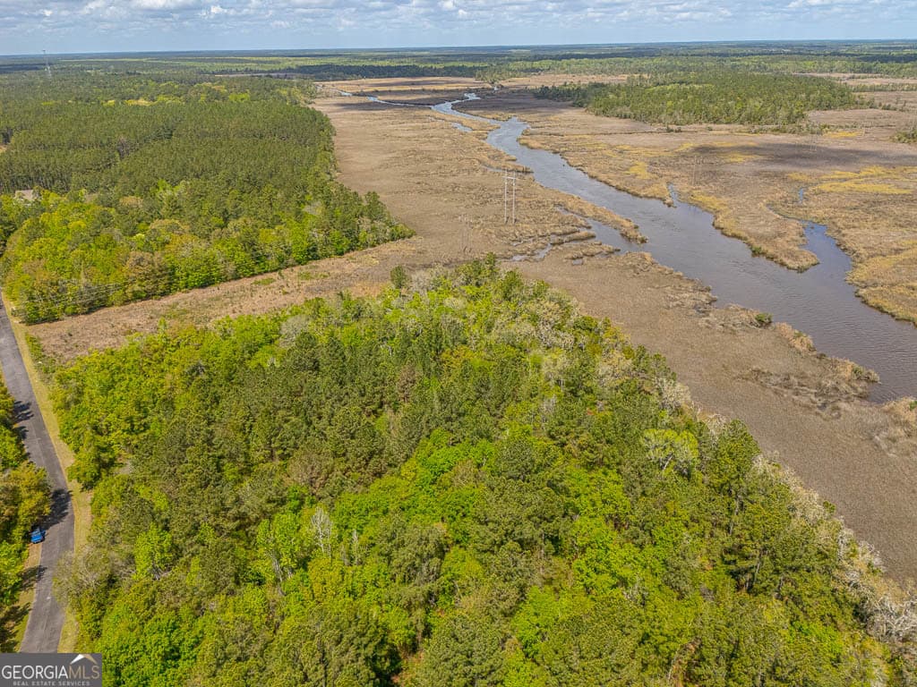 unimproved land for sale at LOT 45 Matthews Launch, White Oak, GA 31568 — photo 5