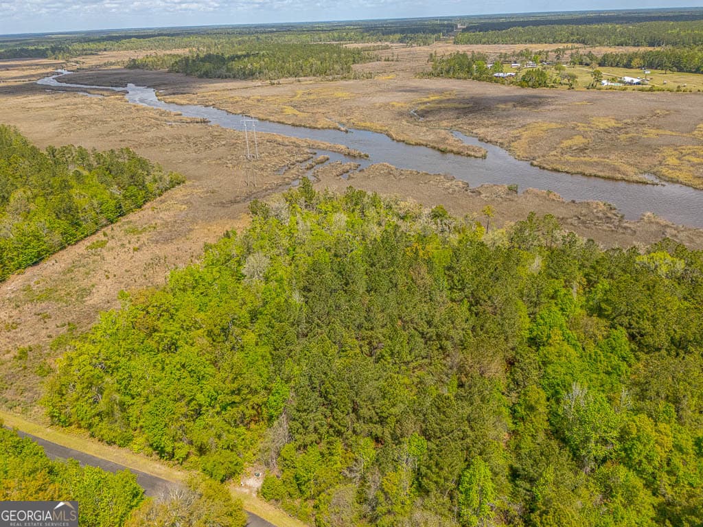 unimproved land for sale at LOT 45 Matthews Launch, White Oak, GA 31568 — photo 4