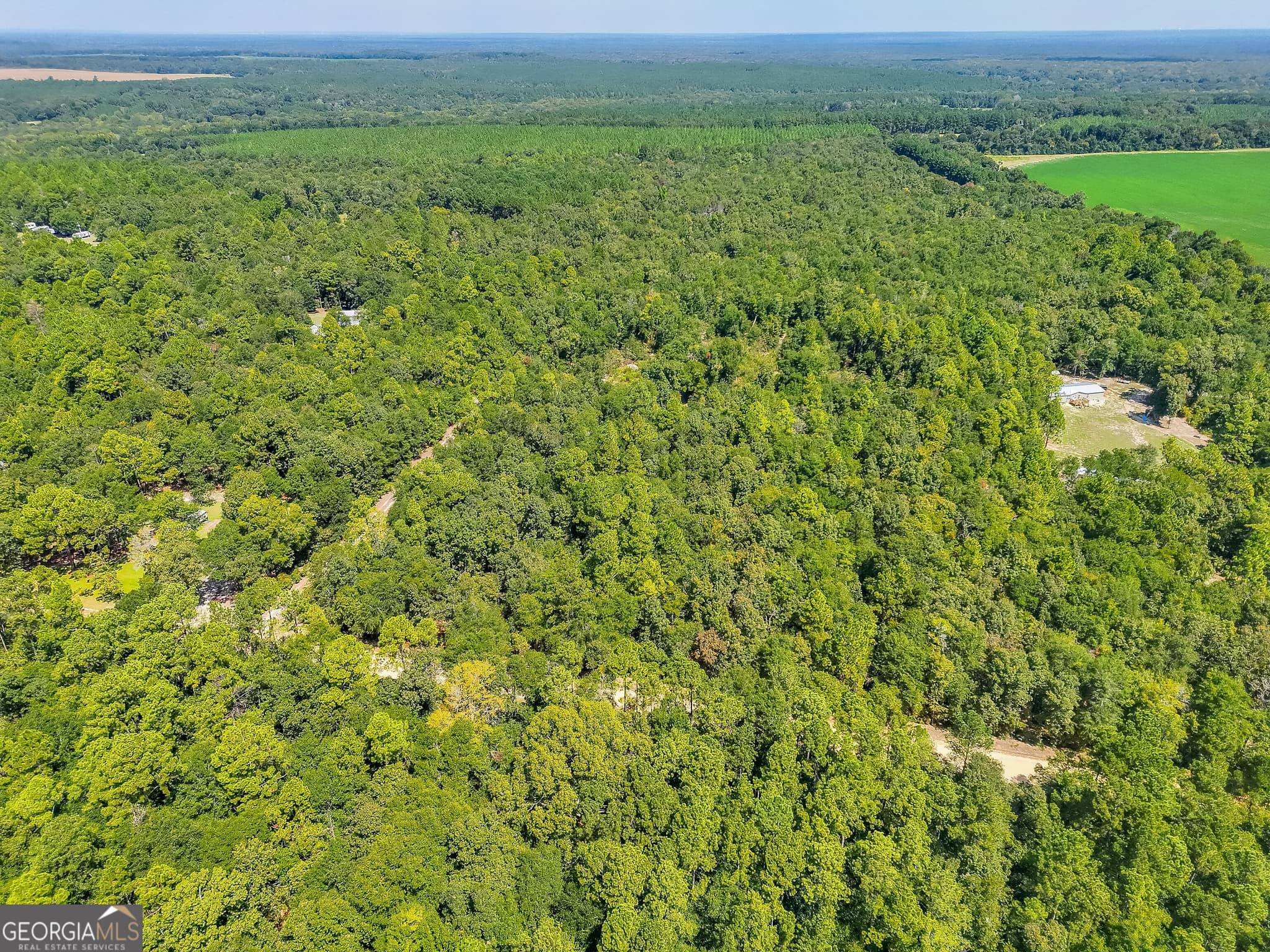 residential lot for sale at 335 Allen Chapel Road, Waynesboro, GA 30830 — photo 3