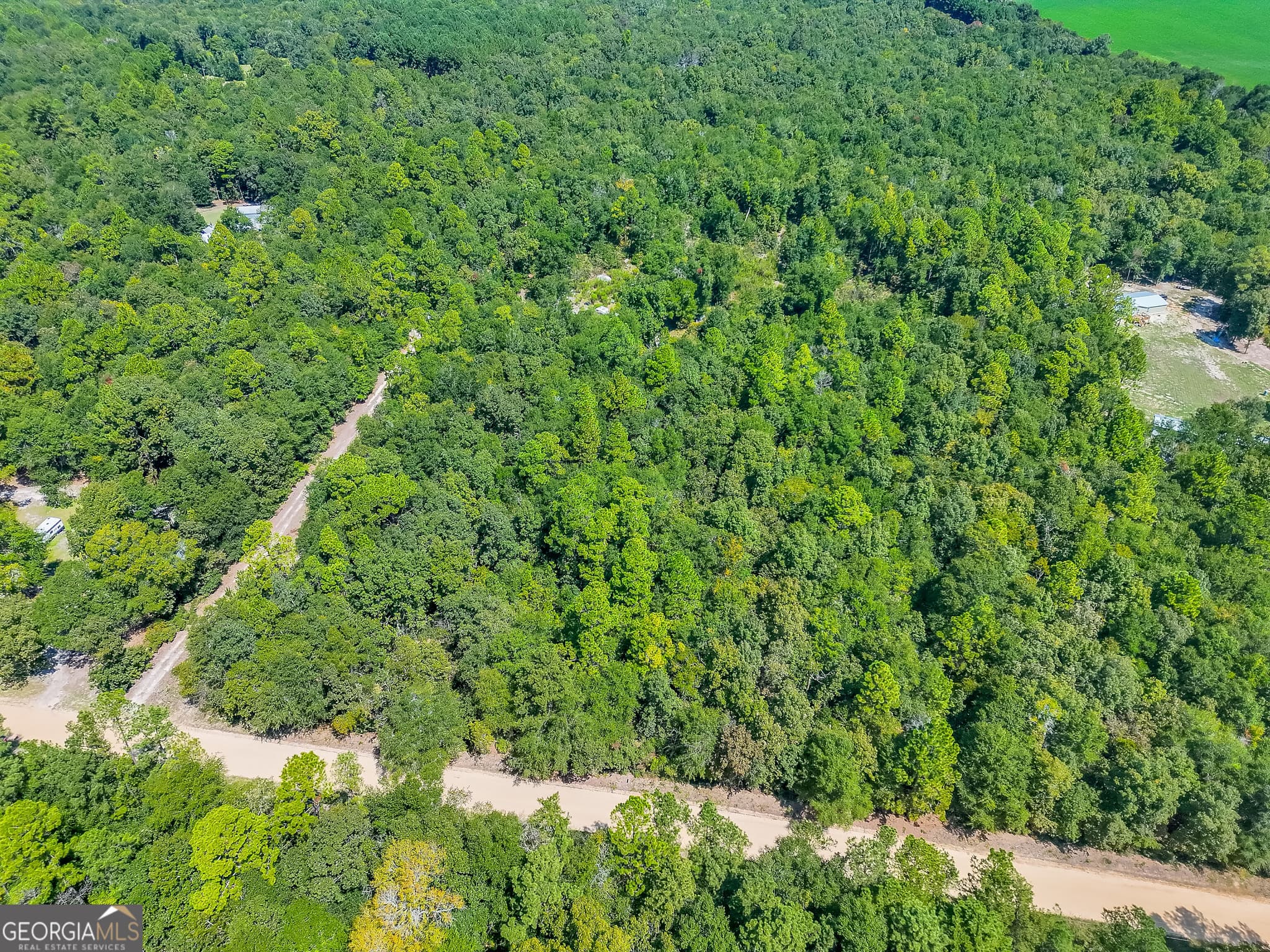 residential lot for sale at 335 Allen Chapel Road, Waynesboro, GA 30830 — photo 4