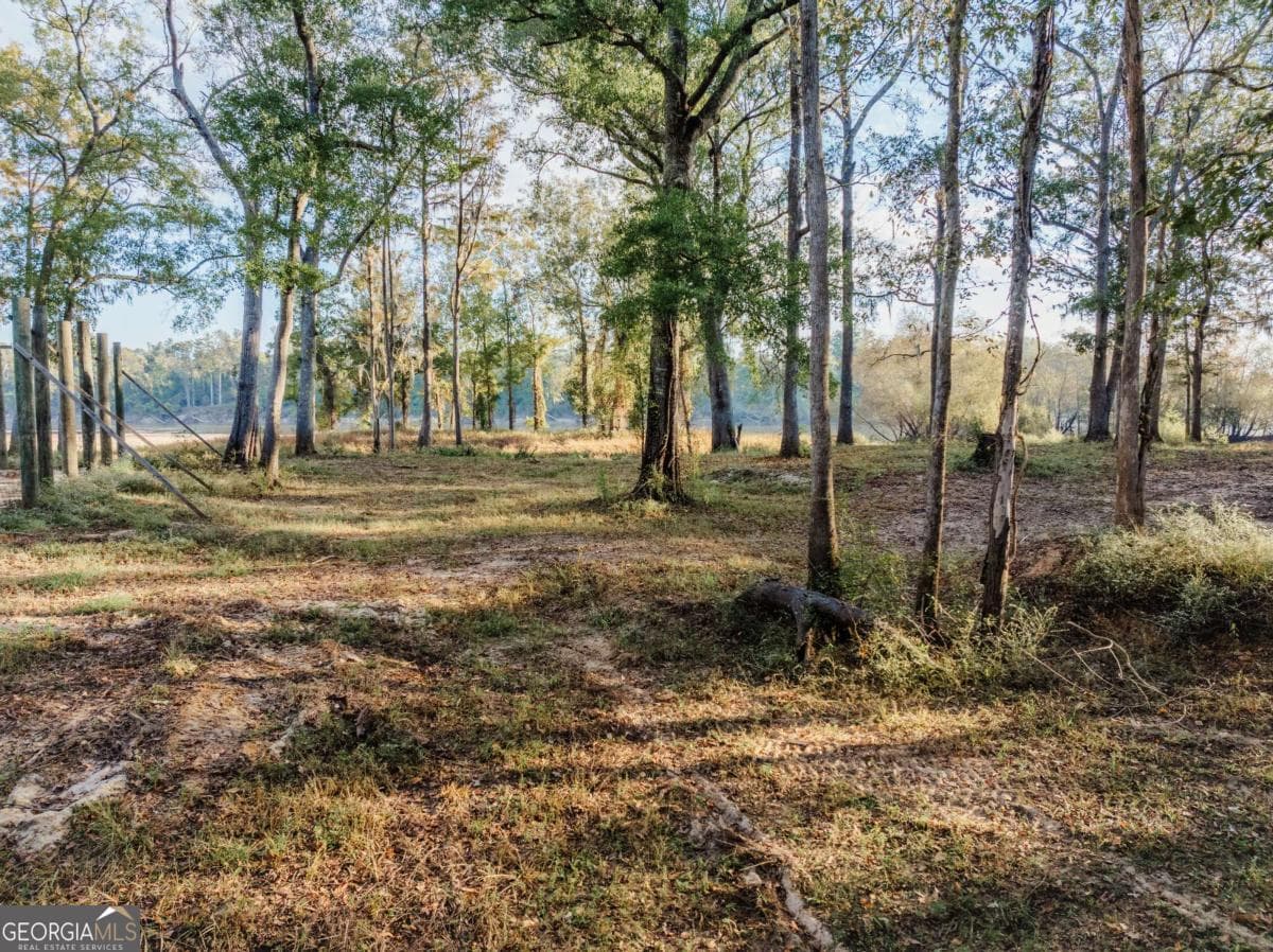 residential lot for sale at 0 Eagles Point LOT 12, Surrency, GA 31563 — photo 7
