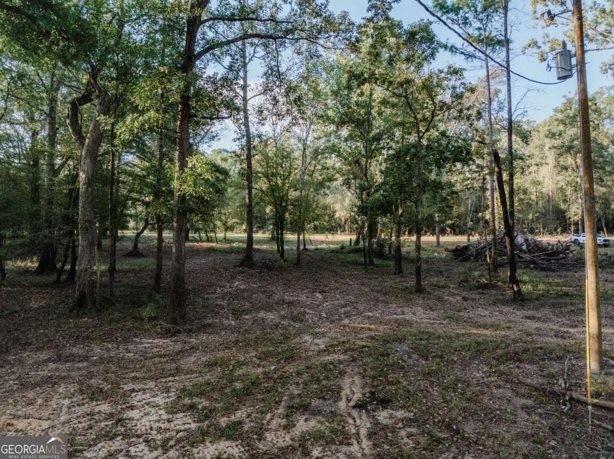residential lot for sale at 0 Eagles Point LOT 12, Surrency, GA 31563 — photo 5