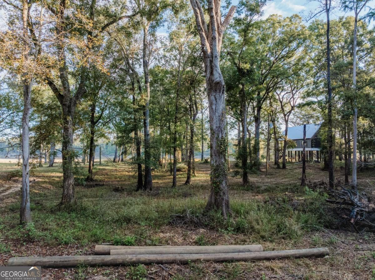 residential lot for sale at 0 Eagles Point LOT 12, Surrency, GA 31563 — photo 9