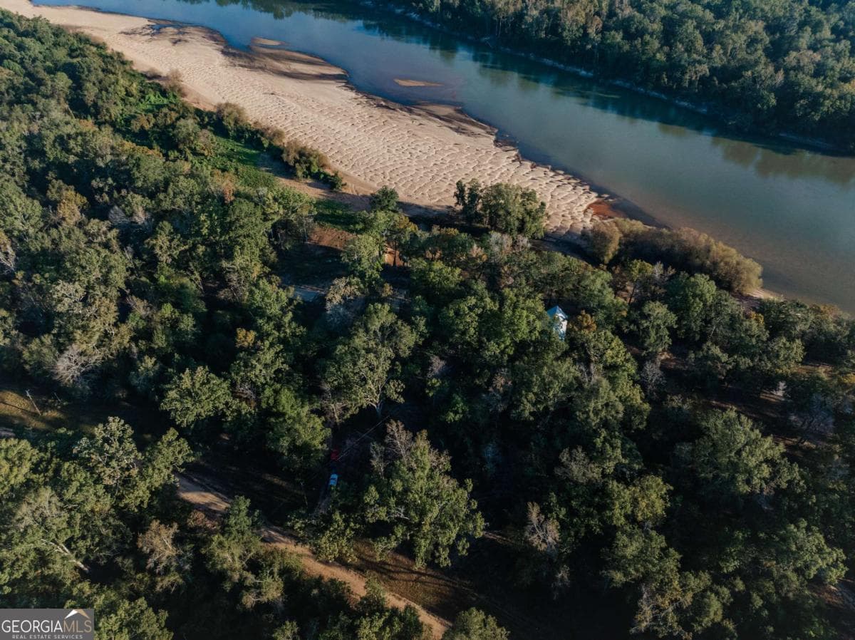 residential lot for sale at 0 Eagles Point LOT 12, Surrency, GA 31563 — photo 10