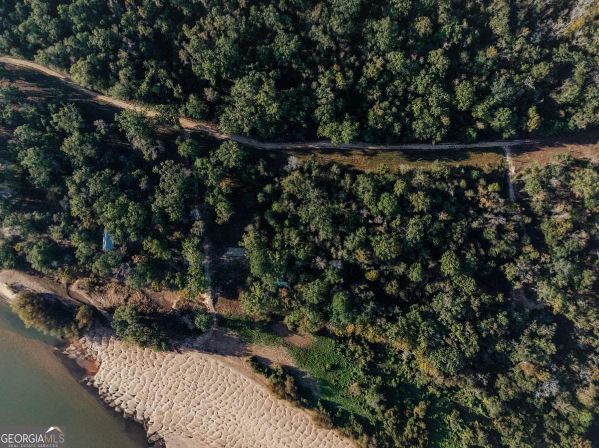 residential lot for sale at 0 Eagles Point LOT 12, Surrency, GA 31563 — photo 4