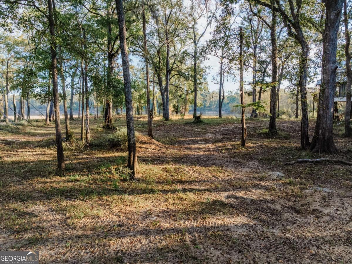 residential lot for sale at 0 Eagles Point LOT 12, Surrency, GA 31563 — photo 8
