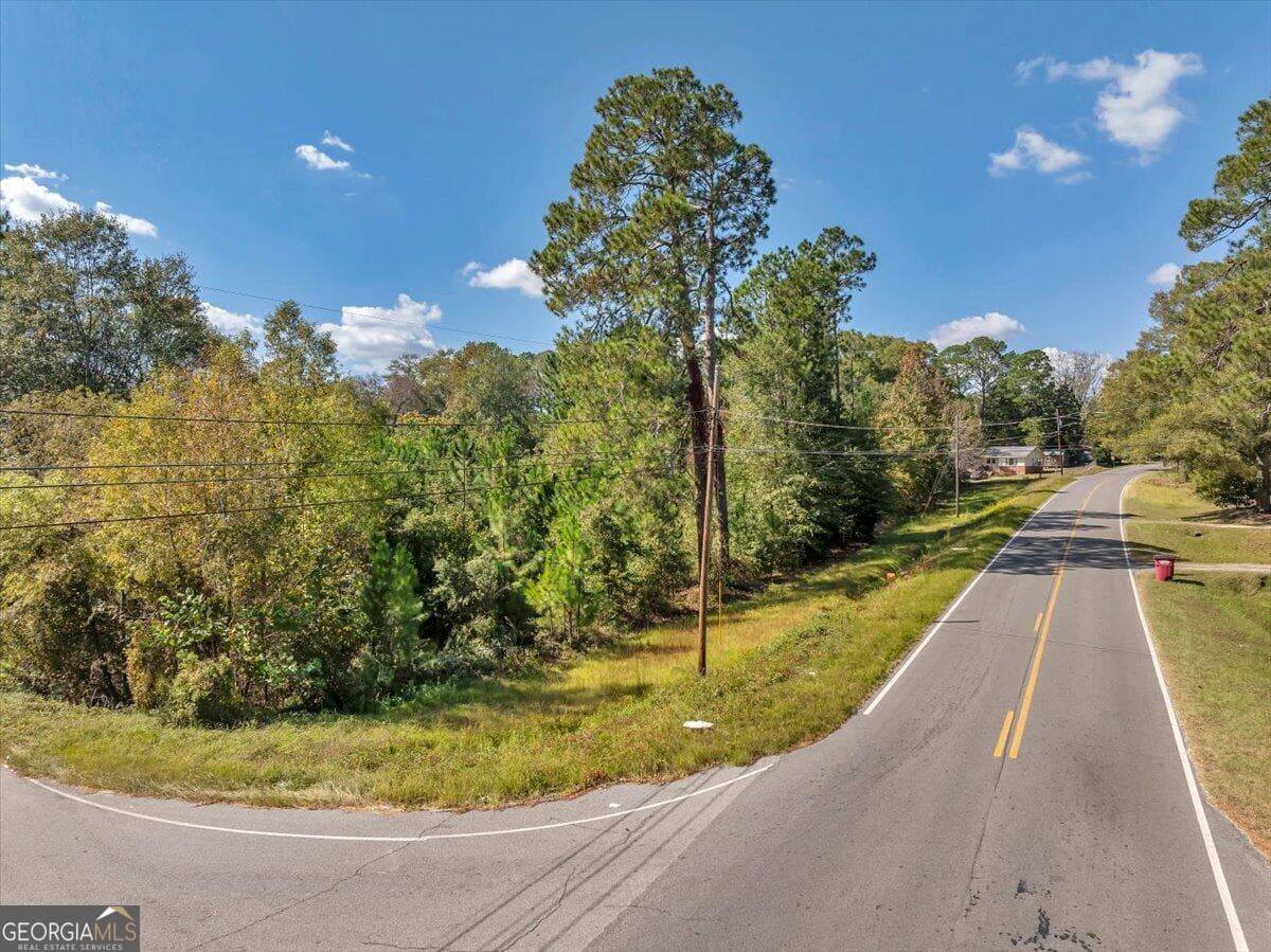 residential lot for sale at 0 Forest Avenue, Eastman, GA 31023 — photo 4