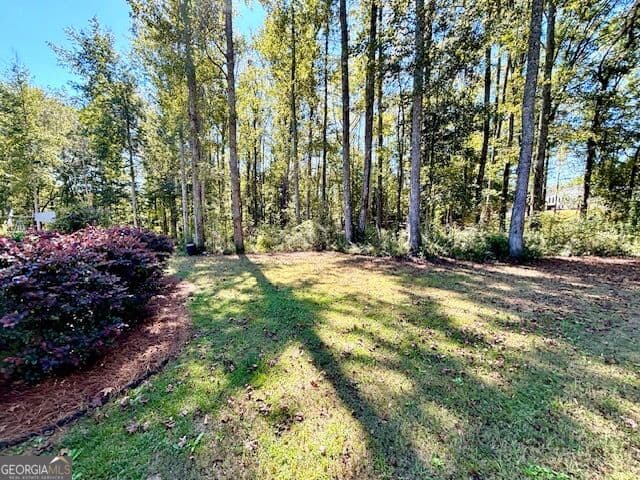 4 bedroom, 2.5 bathroom, 2,535 sq ft single family residence for sale at 1168 Hannahs Mill Road, Thomaston, GA 30286 — photo 4