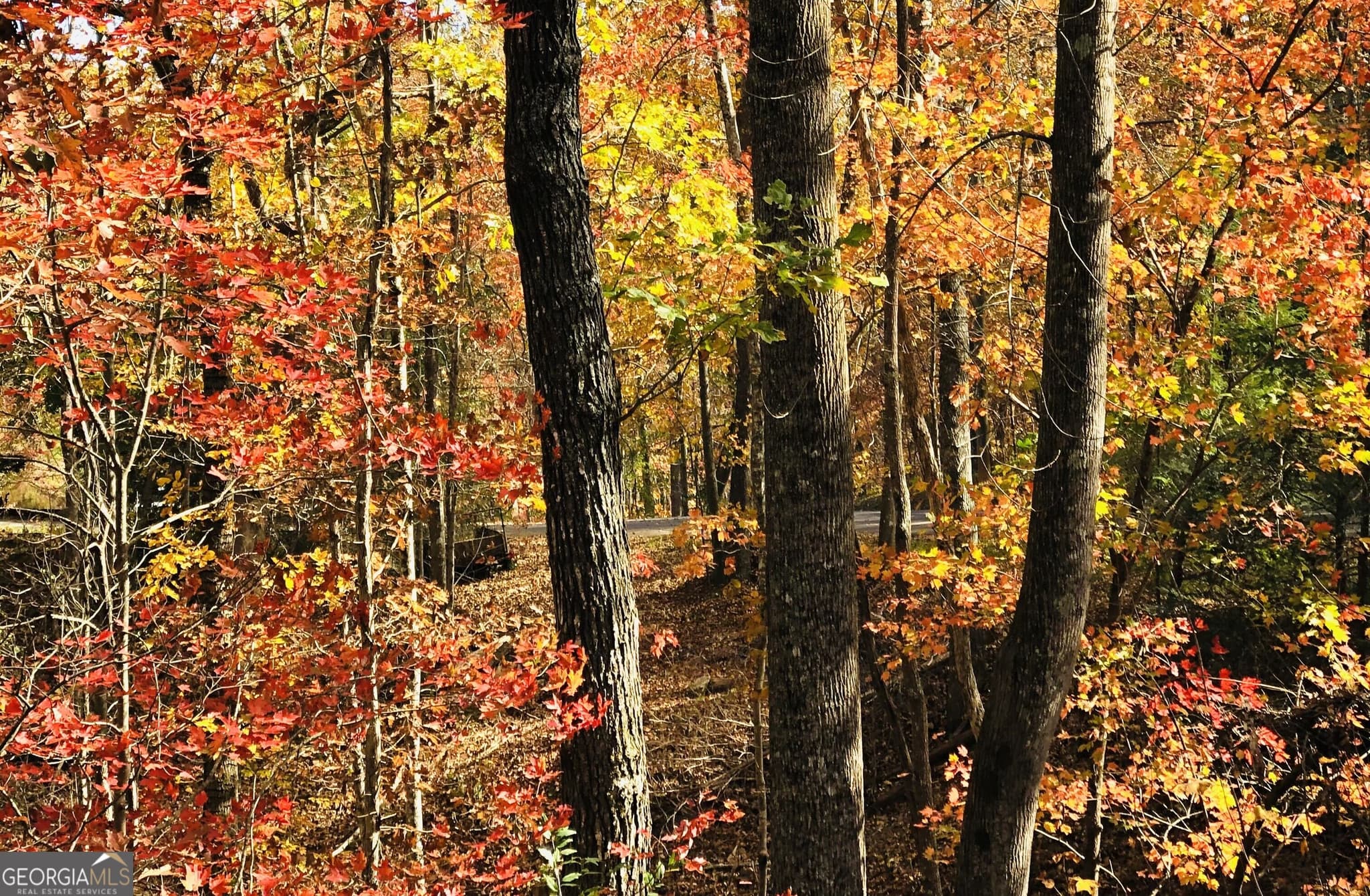 2 bedroom, 1.5 bathroom, 1,080 sq ft cabin,single family residence for sale at 12 Scott Drive, Ellijay, GA 30540 — photo 9