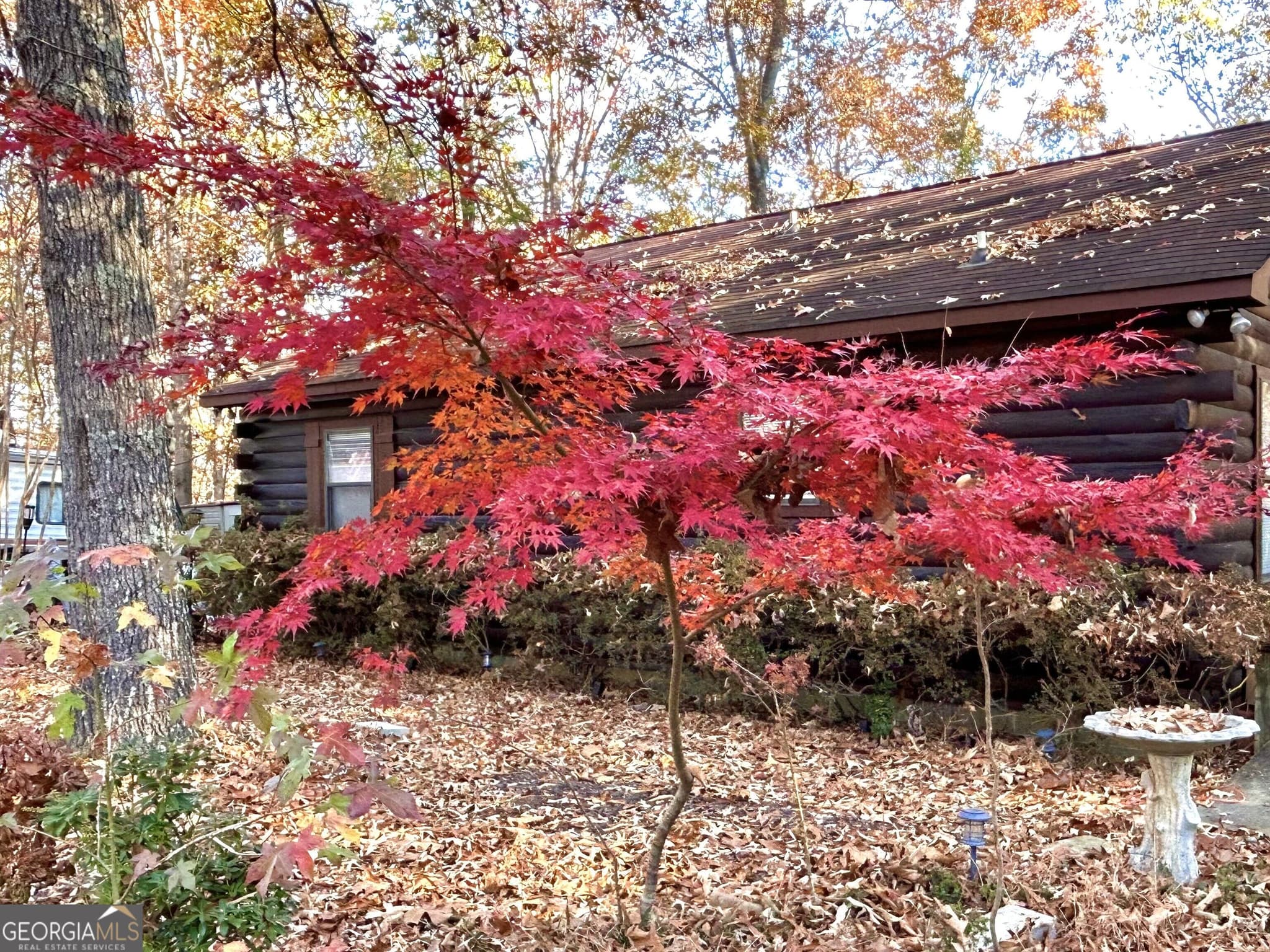 2 bedroom, 1.5 bathroom, 1,080 sq ft cabin,single family residence for sale at 12 Scott Drive, Ellijay, GA 30540 — photo 8