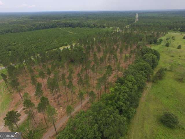 residential lot for sale at 0 Whipples Crossing LOT 2, Dudley, GA 31022 — photo 6