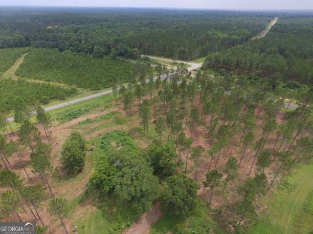 residential lot for sale at 0 Whipples Crossing LOT 2, Dudley, GA 31022 — photo 7