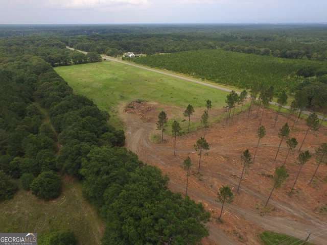 residential lot for sale at 0 Whipples Crossing LOT 2, Dudley, GA 31022 — photo 5