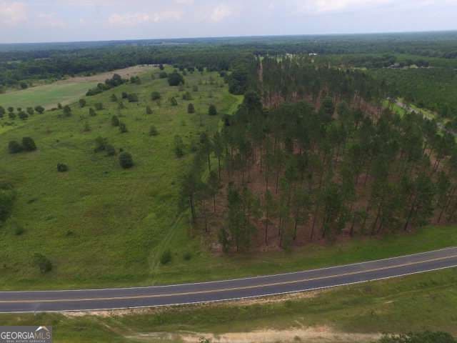 residential lot for sale at 0 Whipples Crossing LOT 2, Dudley, GA 31022 — photo 9