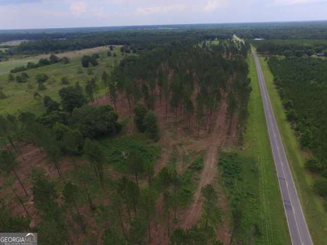 residential lot for sale at 0 Whipples Crossing LOT 2, Dudley, GA 31022 — photo 10